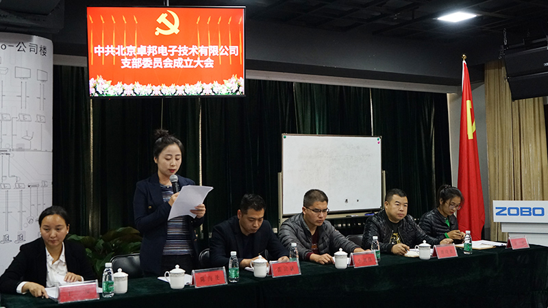 中共北京草莓视频操逼电子技术有限公司支部委员会成立
